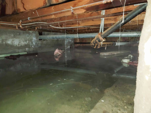 Trusted AK Water damage restoration Experts