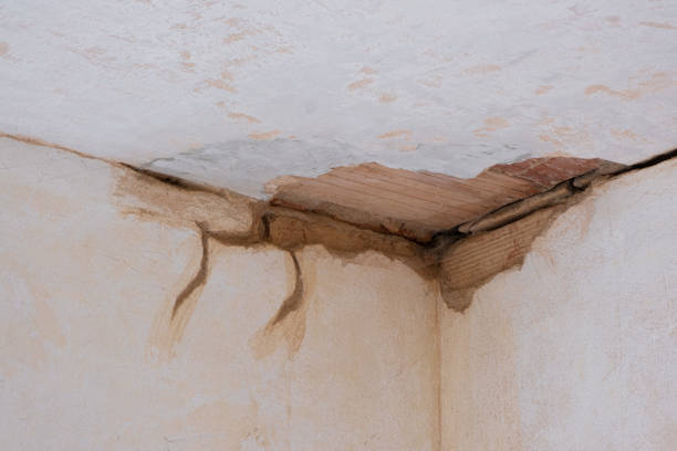 Best Flood damage cleanup  in Wasilla, AK