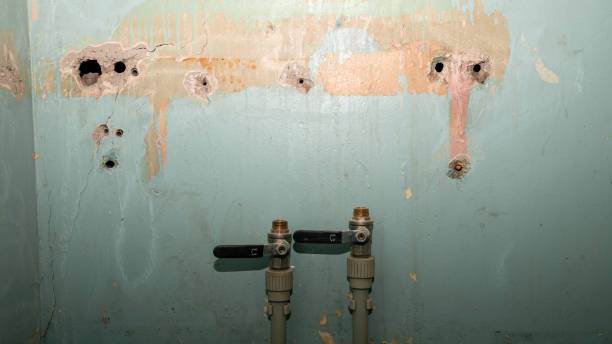 Best Basement water damage restoration  in Wasilla, AK