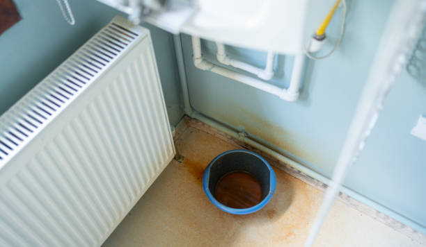 Best Water damage restoration near me  in Wasilla, AK
