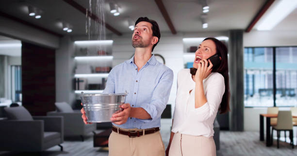 Best Fire Damage Restoration  in Wasilla, AK