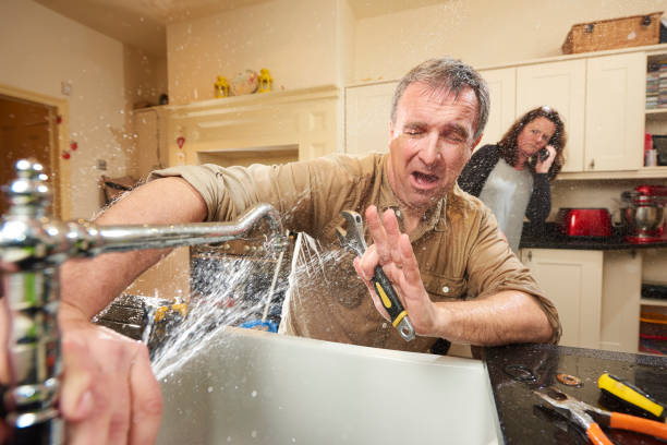 Best Local water damage restoration  in Wasilla, AK